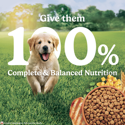 Purina Friskies Chicken Flavoured Puppy Dog Dry Food