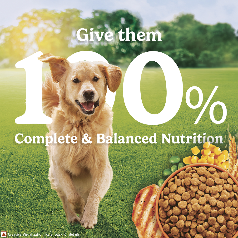 Purina Friskies Chicken Adult Dog Dry Food