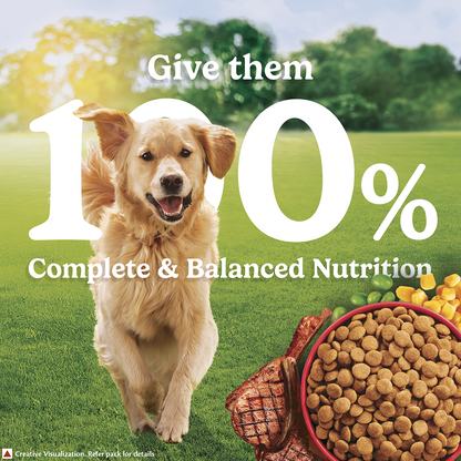 Purina Friskies Meat Adult Dog Dry Food