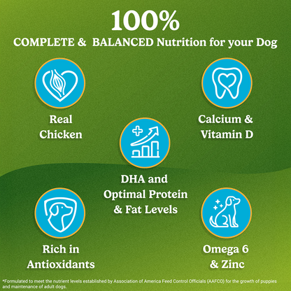 Purina Friskies Chicken Flavoured Puppy Dog Dry Food