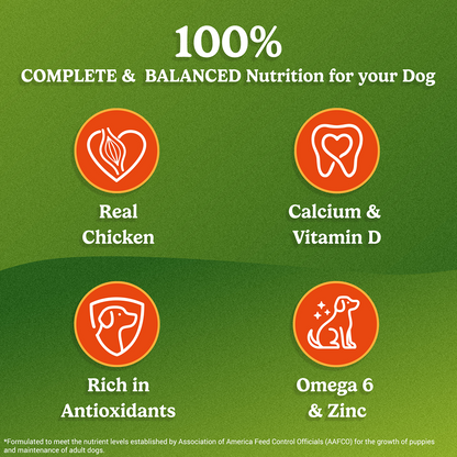 Purina Friskies Chicken Adult Dog Dry Food