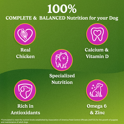 Purina Friskies Chicken Small Breed Adult Dog Food