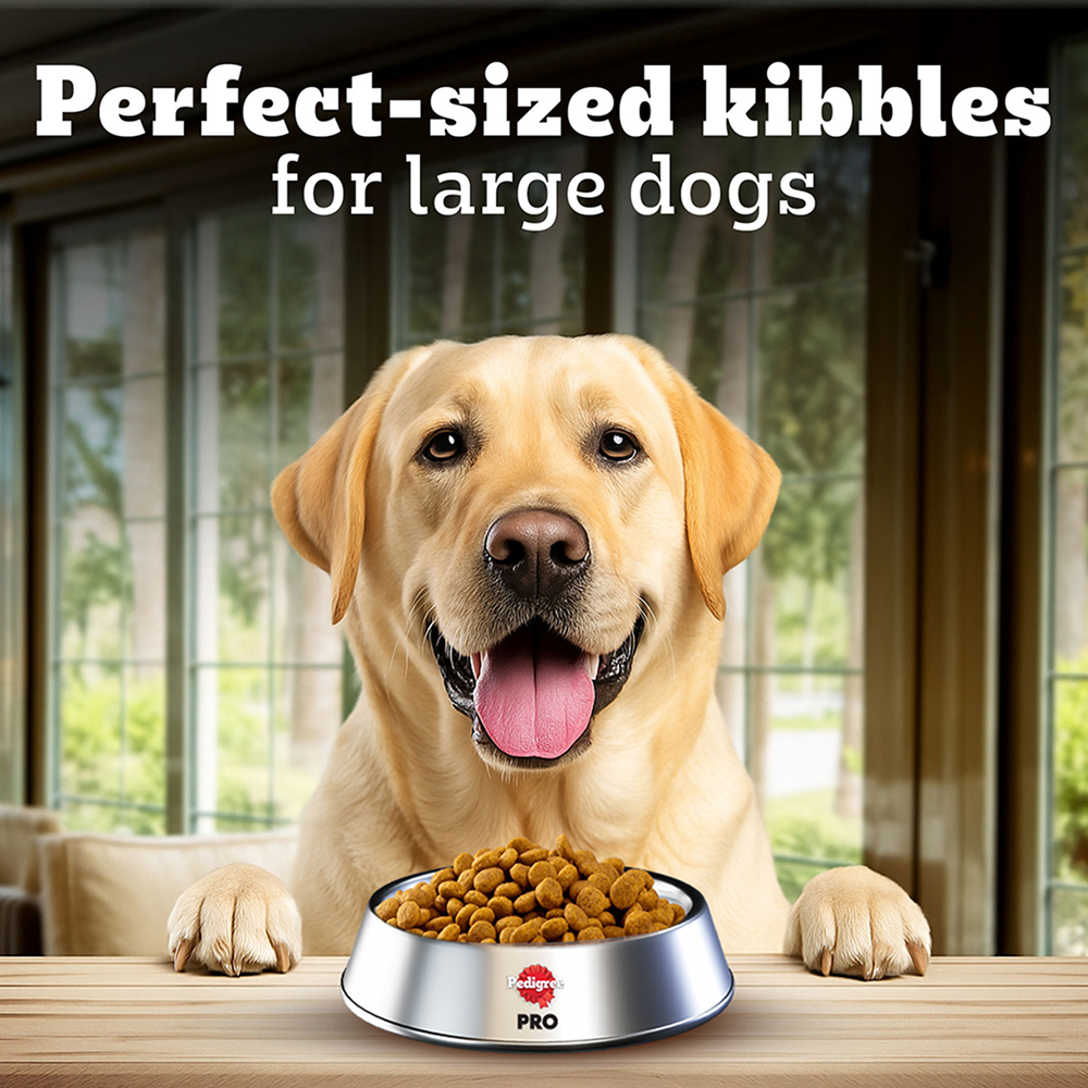 Pedigree PRO Expert Nutrition Lactating/Pregnant Mother & Puppy Starter(3 to 12 Weeks) Large Breed Dog Dry Food  (Limited Shelf Life)