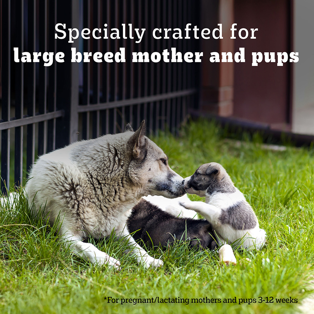 Pedigree PRO Expert Nutrition Lactating/Pregnant Mother & Puppy Starter(3 to 12 Weeks) Large Breed Dog Dry Food  (Limited Shelf Life)