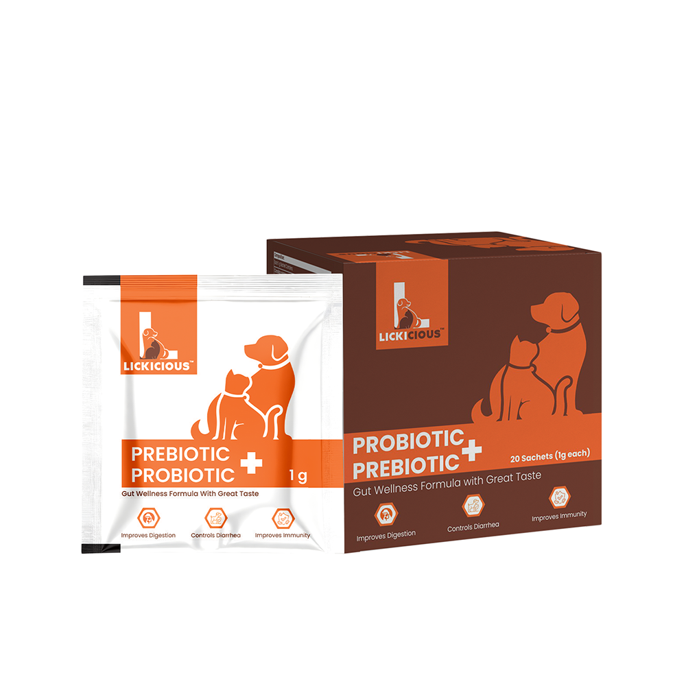 Lickicious Pre and Probiotics Sachets,Gut Health & Digestion for Dogs & Cats