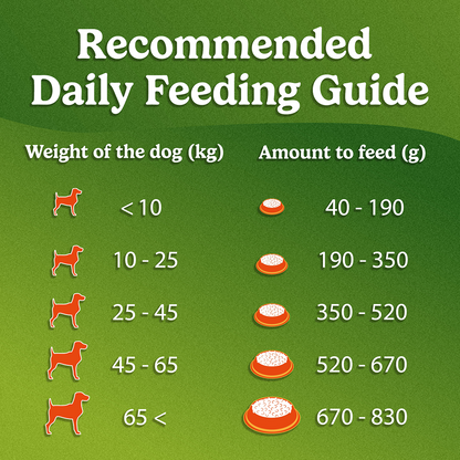 Purina Friskies Chicken Adult Dog Dry Food
