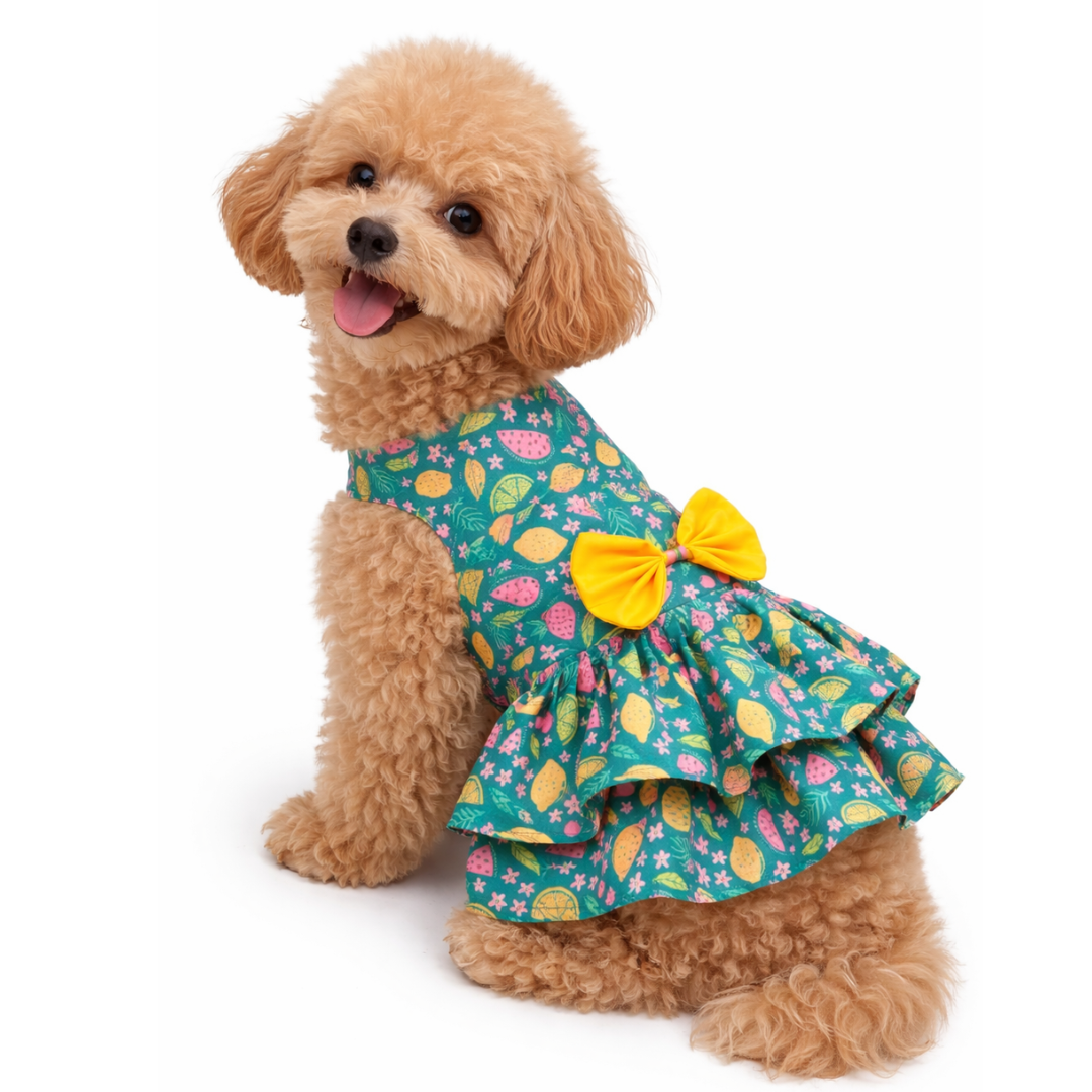 Pawgypets Fruity Casual Dress for Dogs (Green)