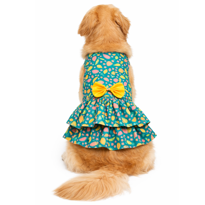 Pawgypets Fruity Casual Dress for Dogs (Green)