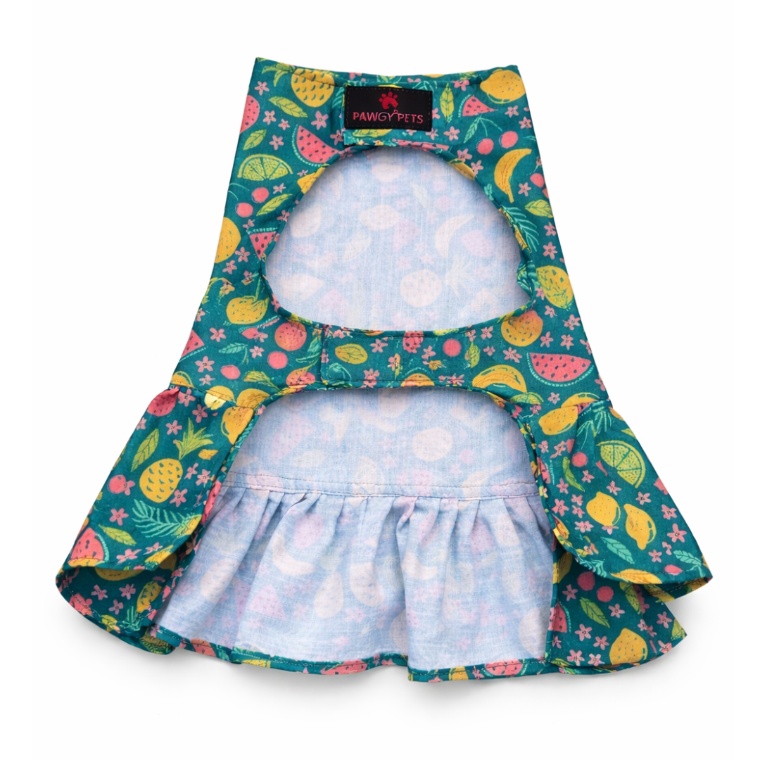 Pawgypets Fruity Casual Dress for Dogs (Green)