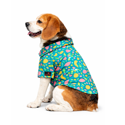 Pawgypets Fruity Casual Shirt for Dogs (Green)