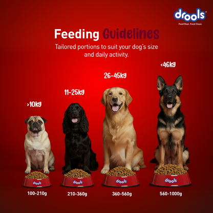 Drools Lamb and Rice Adult Dog Dry Food