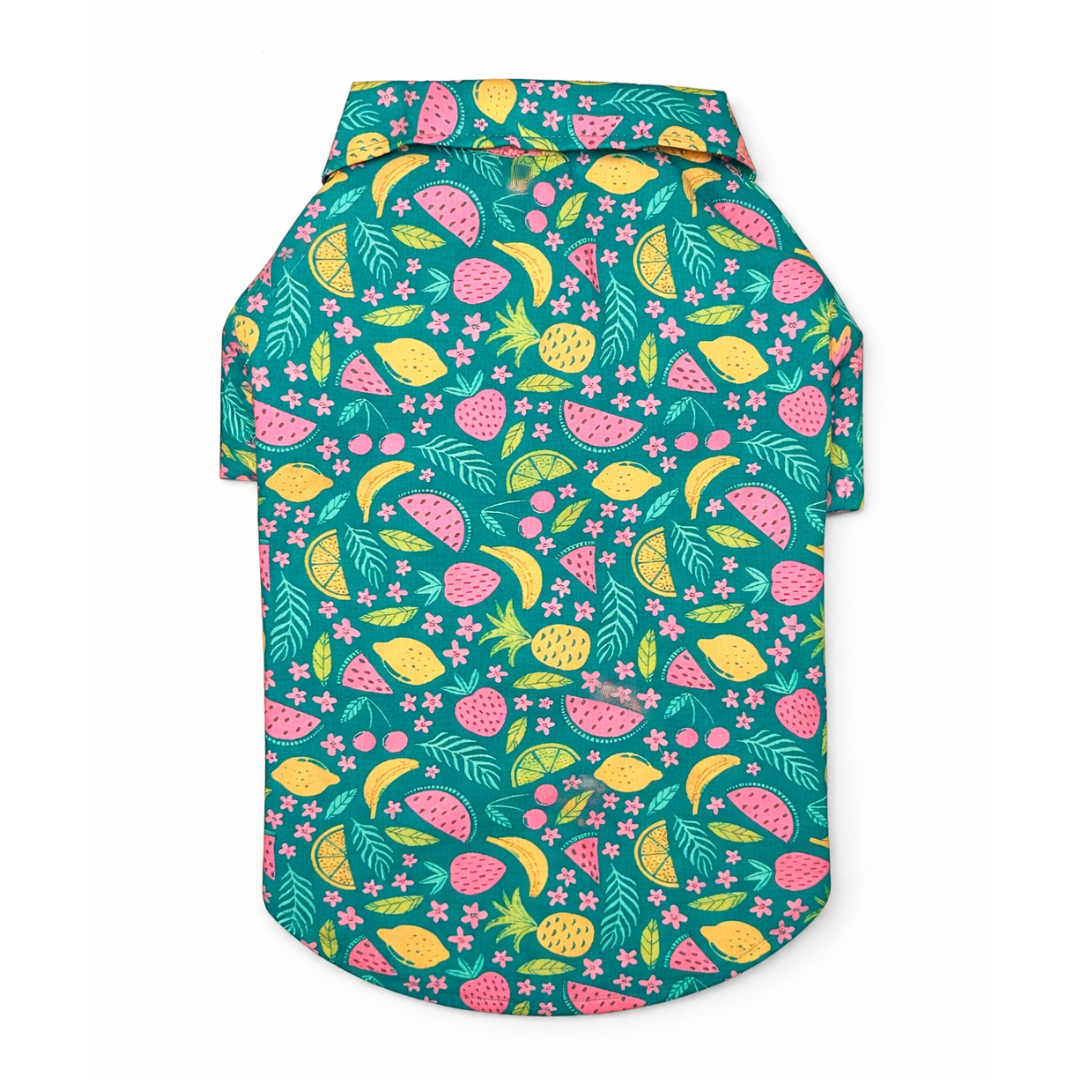 Pawgypets Fruity Casual Shirt for Dogs (Green)