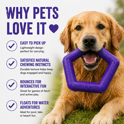 Talking Dog Club Sturdy Hexagon Floater Chew Toy for Dogs (Purple)