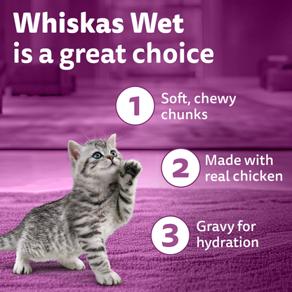 Whiskas Kitten Wet Food Value Combo |Chicken, Tuna & Mackerel