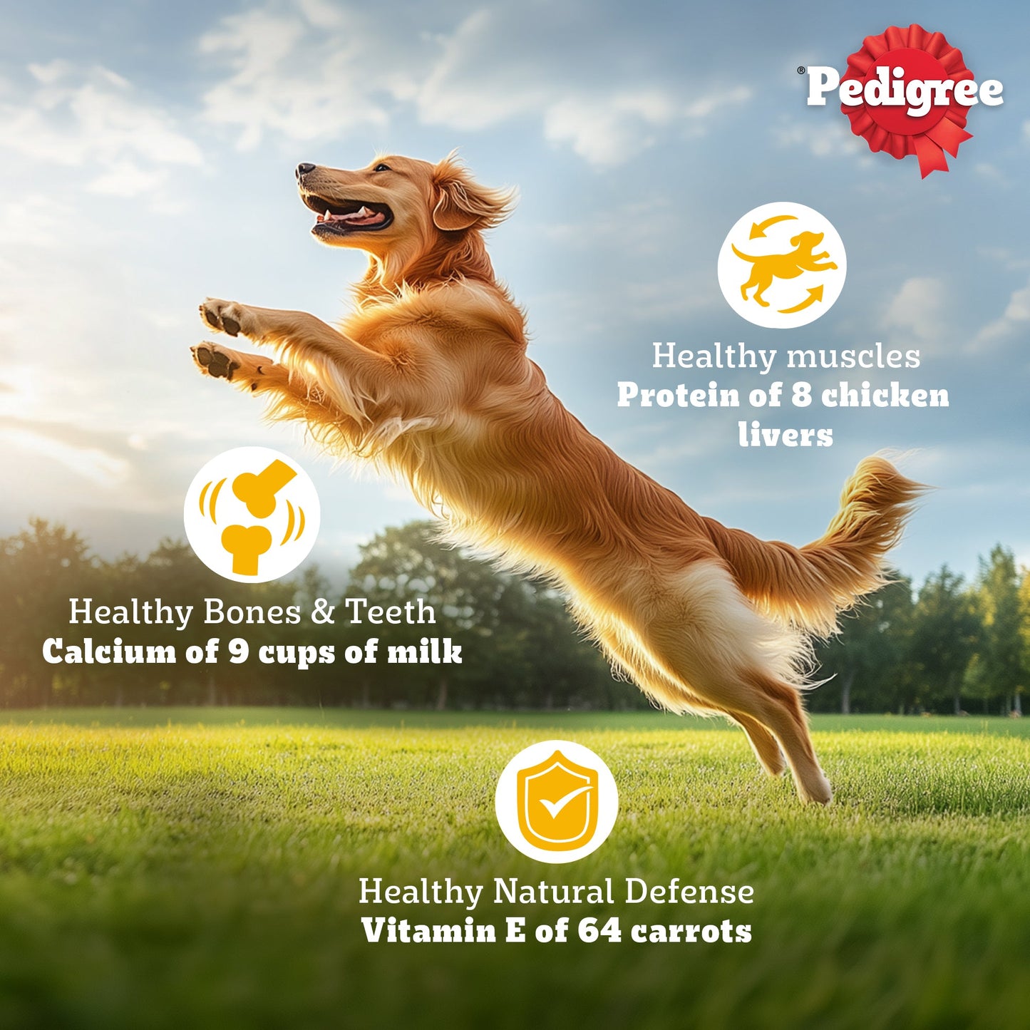 Pedigree Adult Dog Food Combo |Meat & Rice Dry & Chicken & Liver Wet