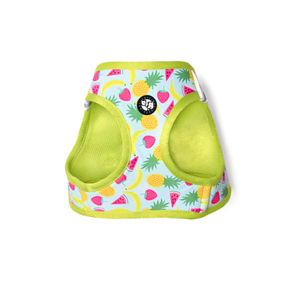 Pets Way Fruity Air Mesh Printed Harness for Puppies and Small Dogs