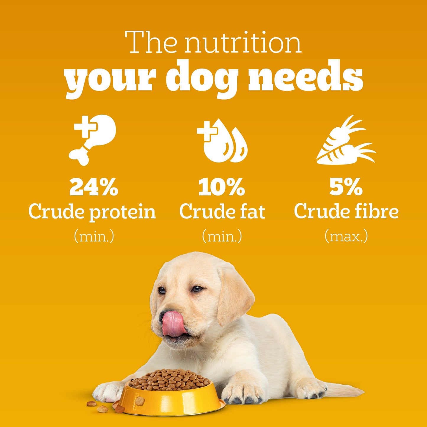 Pedigree Puppy Dog Food Combo |Meat & Milk Dry & Chicken & Liver Wet