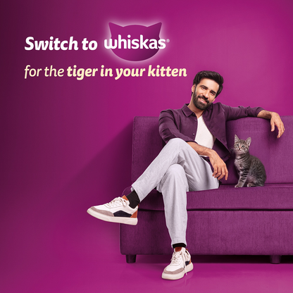 Whiskas Kitten Cat Food Combo |Ocean Fish Dry & Chicken with Salmon in Jelly in Gravy Wet