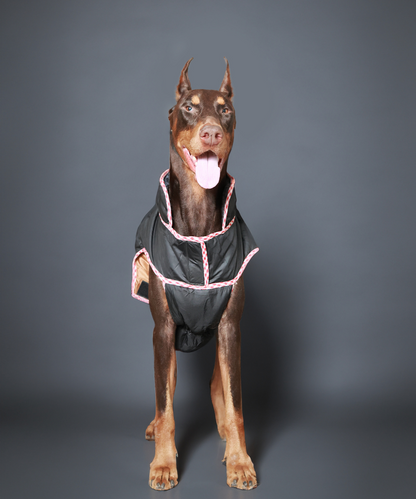 Pet Set Go Wind Sheeter Jackets for Dogs (Black)