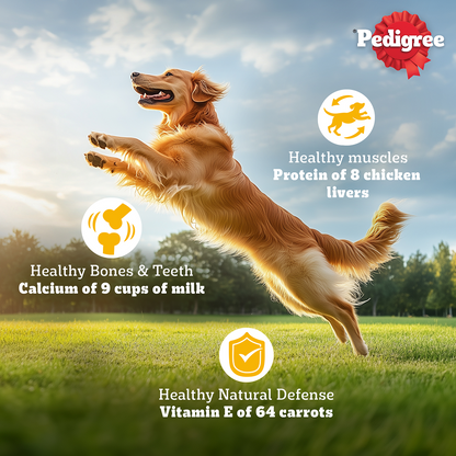 Pedigree Chicken & Veg Dry Food with Petkit FreshElement Solo Smart Wi Fi Feeder Ultimate Smart Feeding Adult Dog Combo