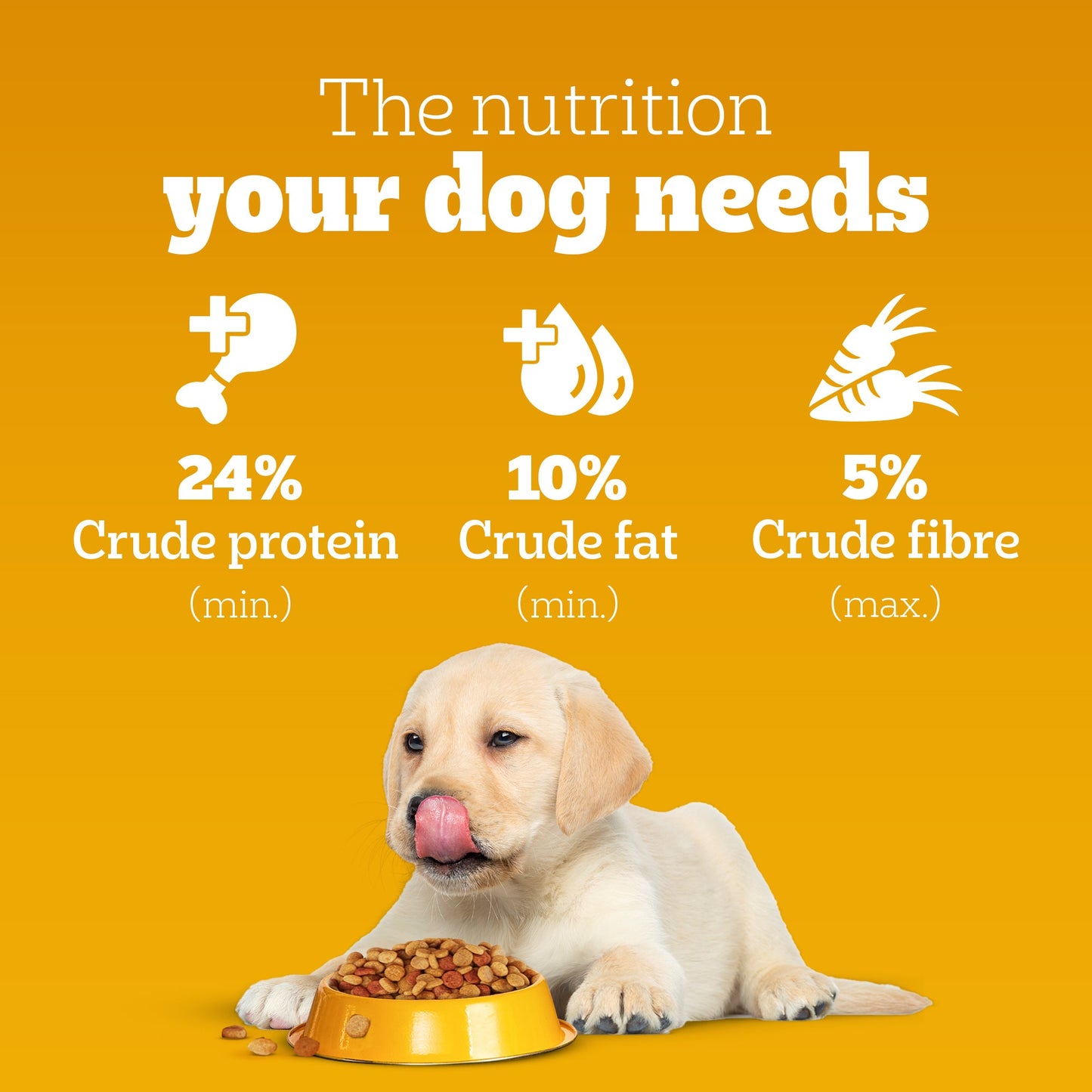 Pedigree Puppy Dog Food Combo |Chicken & Milk Dry & Chicken & Liver Wet