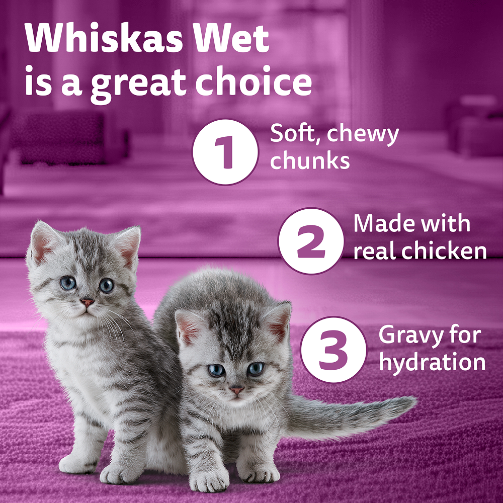 Whiskas Kitten Tasty Mix Wet Food Combo |Chicken, Tuna, Seafood & Salmon