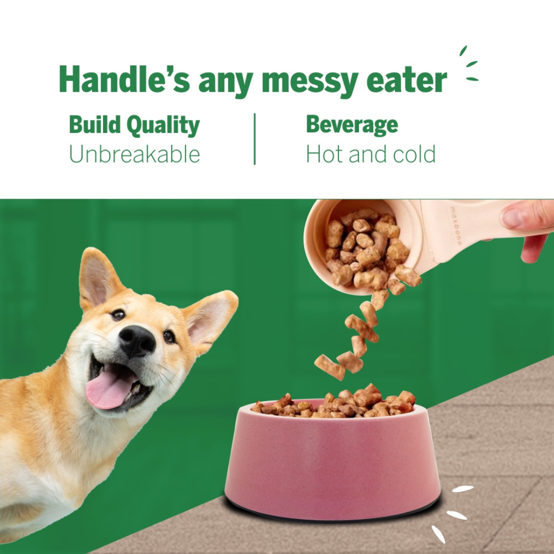 Healing Leaf Eco Friendly Cartoon Bamboo Bowl for Dogs and Cats (Green)