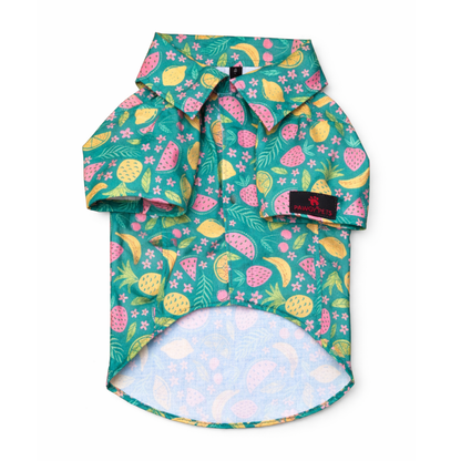 Pawgypets Fruity Casual Shirt for Dogs (Green)