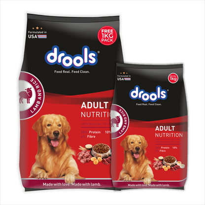 Drools Lamb and Rice Adult Dog Dry Food