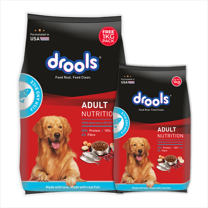 Drools Fish and Rice Adult Dog Dry Food