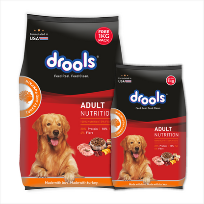 Drools Turkey and Pumpkin Adult Dog Dry Food