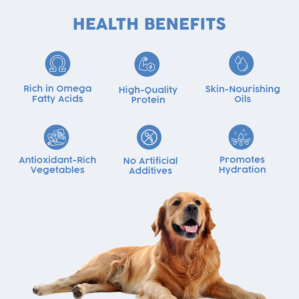 Benny's Bowl Clinical Nutrition for Healthy Skin and Coat Dog Wet Food