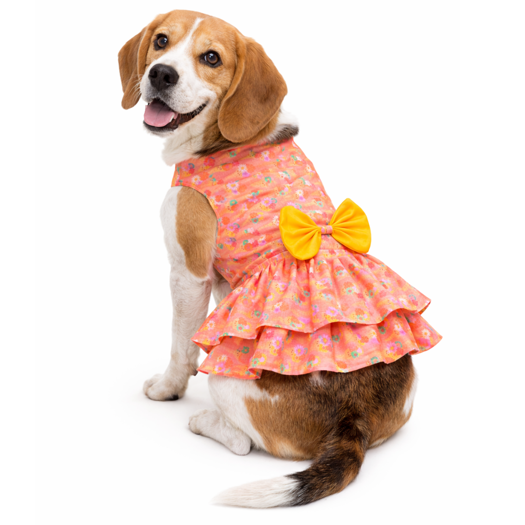 Pawgypets Softy Casual Dress for Dogs (Peach)