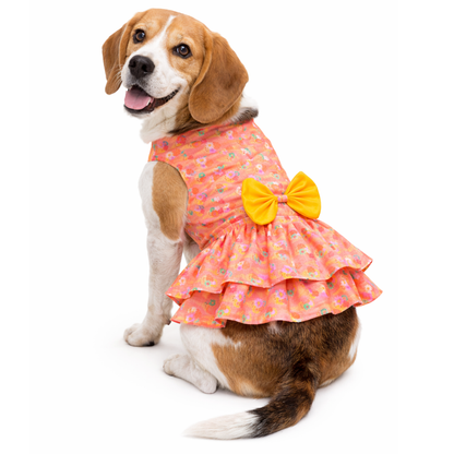 Pawgypets Softy Casual Dress for Dogs (Peach)