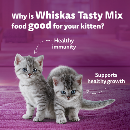 Whiskas Kitten Tasty Mix Wet Food Combo |Chicken, Tuna, Seafood & Salmon