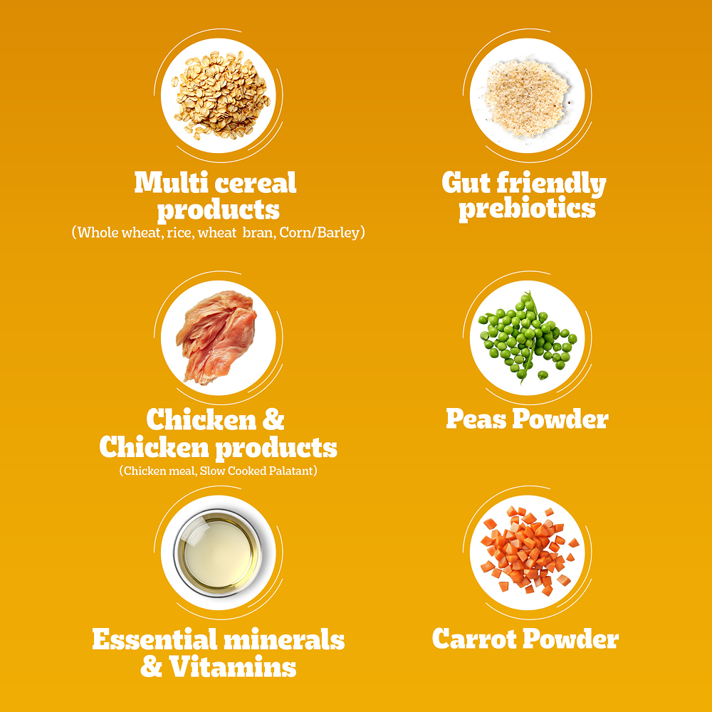 Pedigree Chicken & Veg Dry Food with Petkit FreshElement Solo Smart Wi Fi Feeder Ultimate Smart Feeding Adult Dog Combo