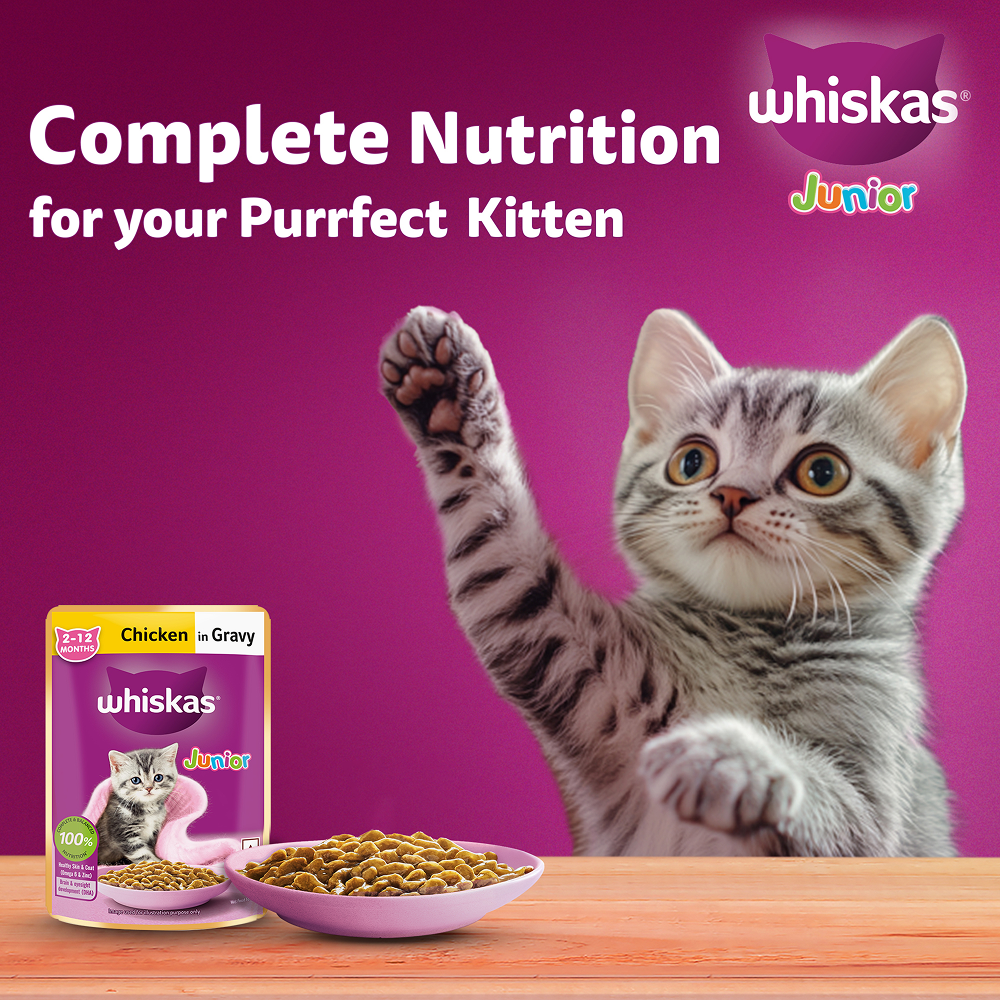 Whiskas Kitten Wet Food Value Combo |Chicken, Tuna & Mackerel
