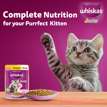 Whiskas Kitten Wet Food Value Combo |Chicken, Tuna & Mackerel