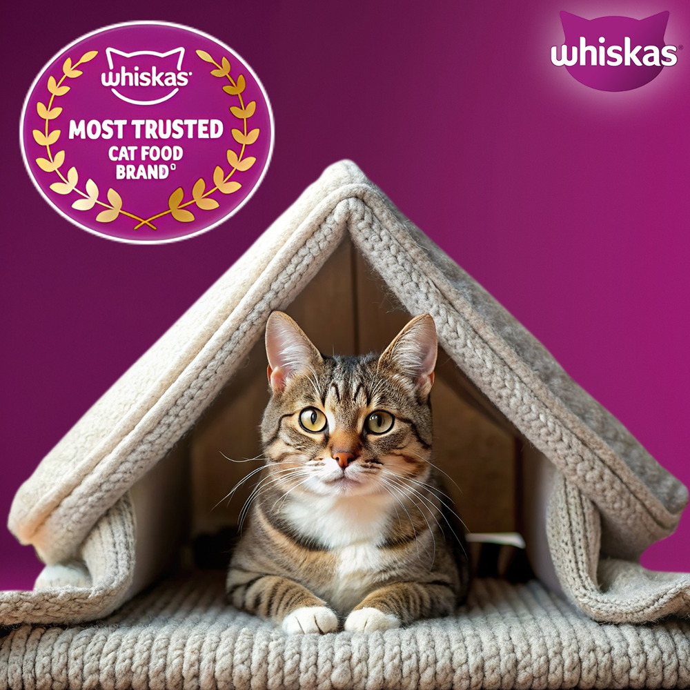 Whiskas Adult Cat Food Combo |Mackerel Dry & Chicken in Gravy Wet