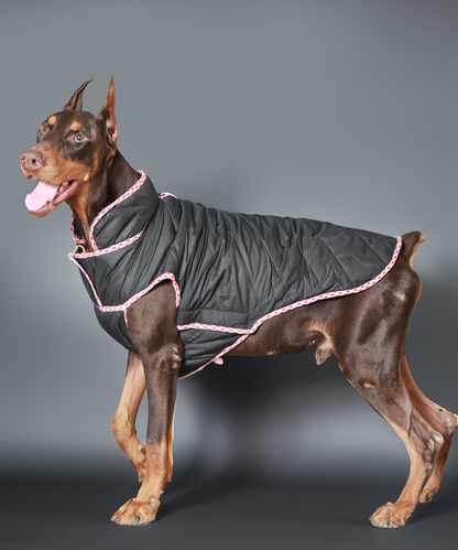 Pet Set Go Wind Sheeter Jackets for Dogs (Black)