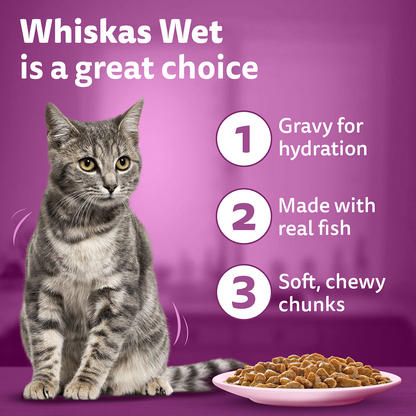 Whiskas Adult Cat Food Combo |Ocean Fish Dry & Salmon in Gravy Wet