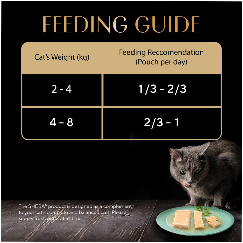 Sheba Chicken Loaf Rich Premium Kitten (2 to 12 Months) Fine Cat Wet Food