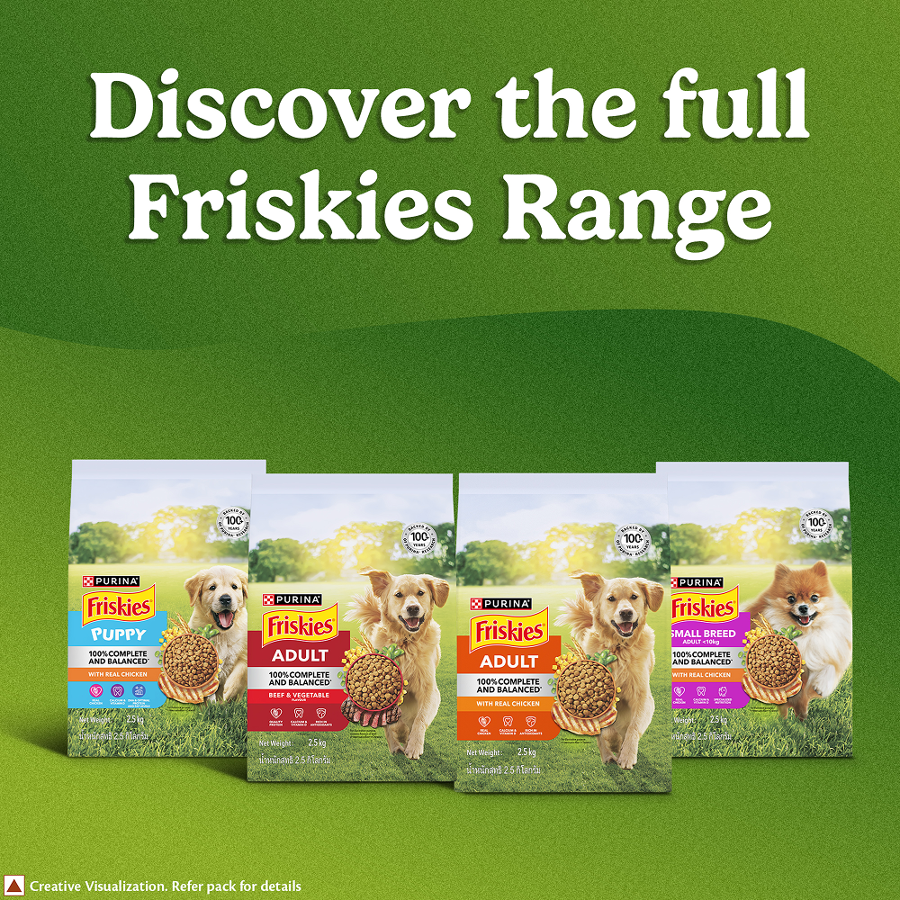 Purina Friskies Chicken Adult Dog Dry Food