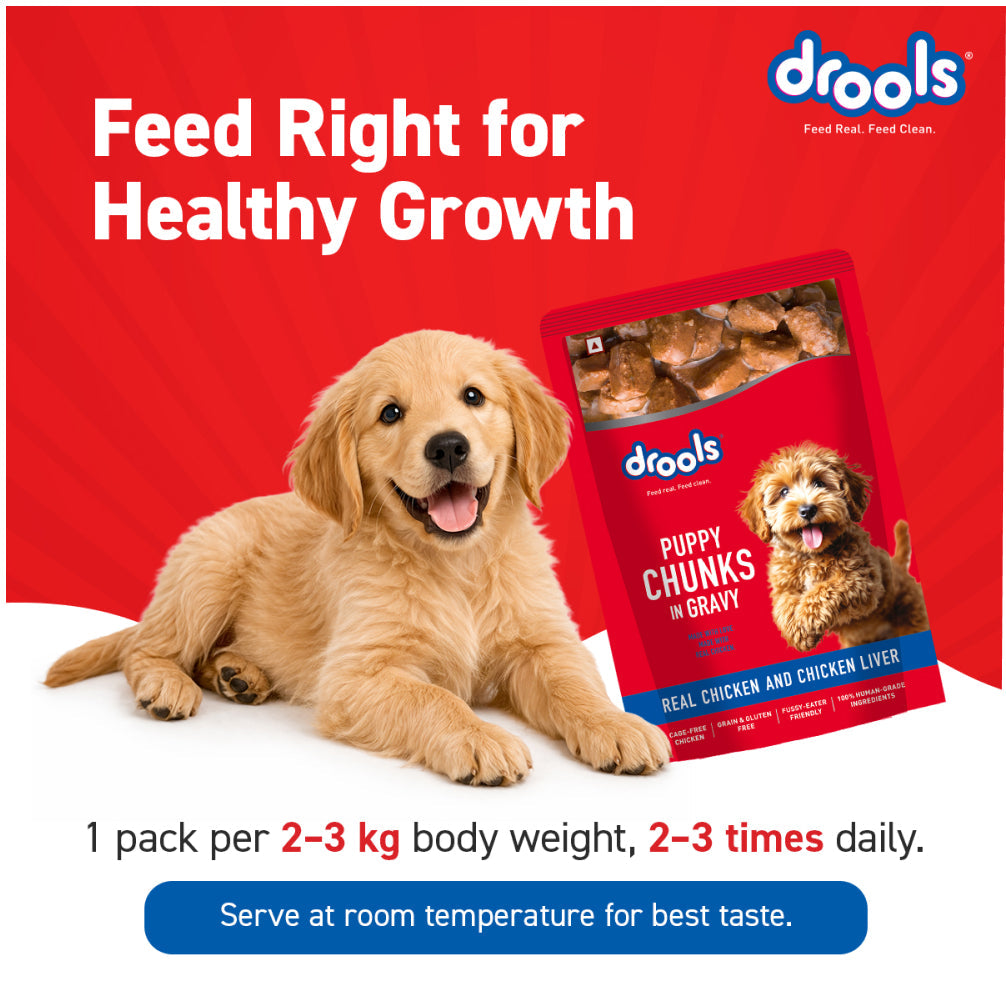 Drools Real Chicken & Chicken Liver Chunks in Gravy Puppy Dog Wet Food