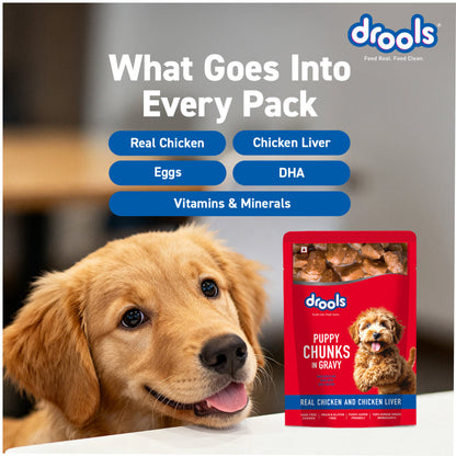 Drools Real Chicken & Chicken Liver Chunks in Gravy Puppy Dog Wet Food