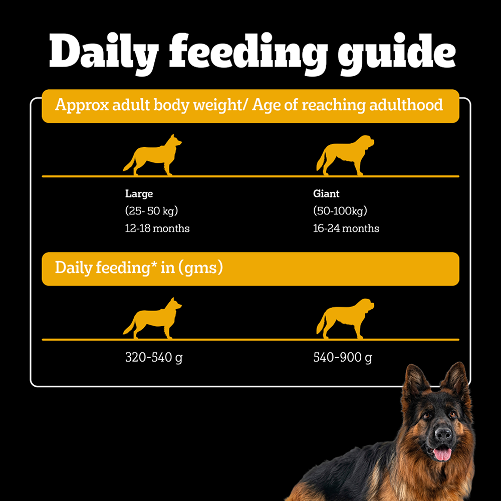 Pedigree PRO Expert Nutrition Active Adult (18 Months Onwards) Large Breed Dog Dry Food