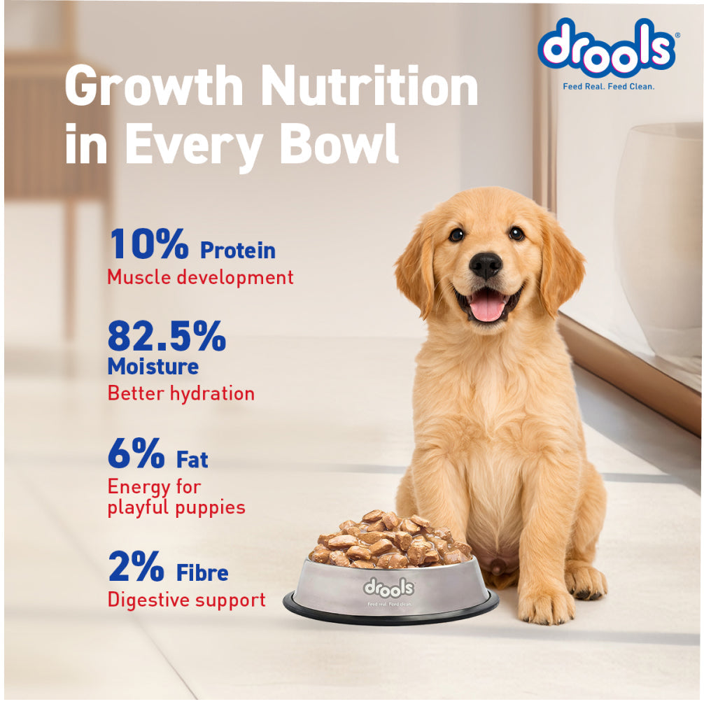 Drools Real Chicken & Chicken Liver Chunks in Gravy Puppy Dog Wet Food