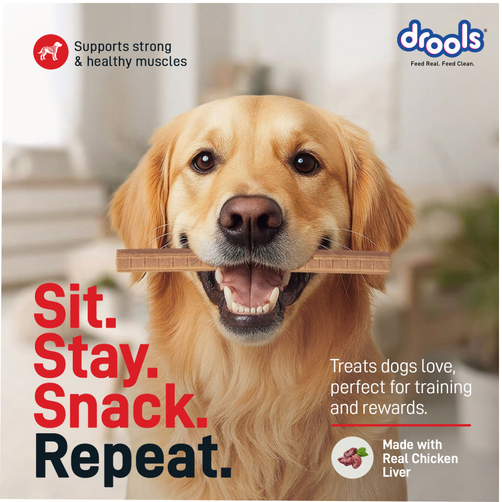 Drools Chicken Liver Sticks Dog treats