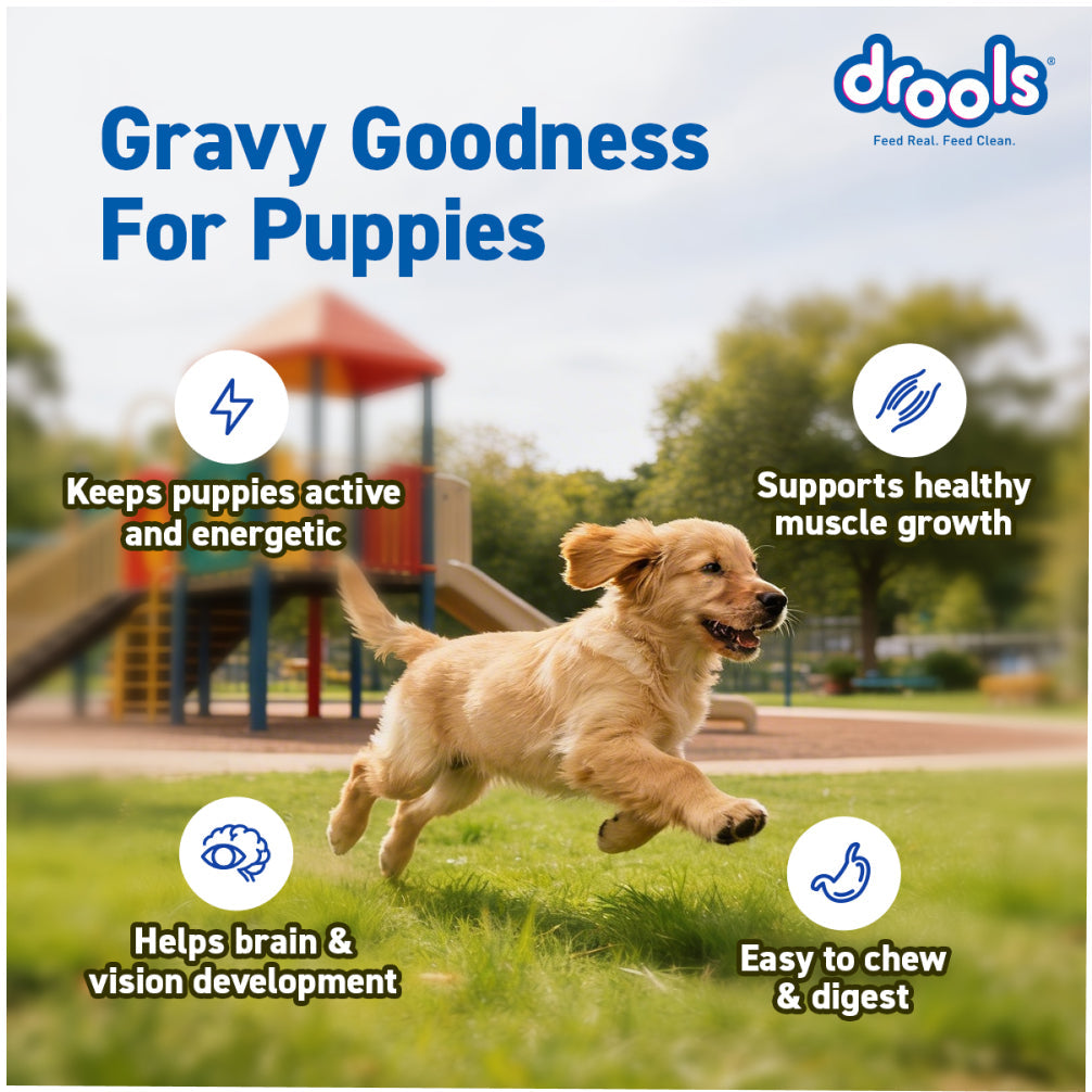 Drools Real Chicken & Chicken Liver Chunks in Gravy Puppy Dog Wet Food