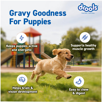 Drools Real Chicken & Chicken Liver Chunks in Gravy Puppy Dog Wet Food